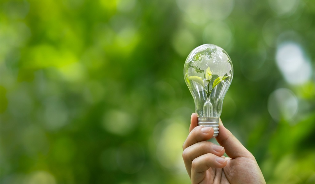 redução da pegada de carbono